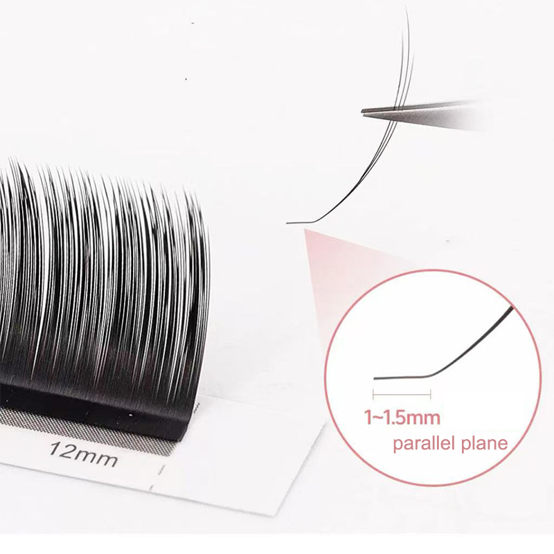 dream ballet Camellia Lashes w - Eyelash Extension Double Lash recension och pris